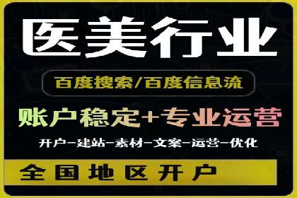 SEO百度推广策略：成功案例解析